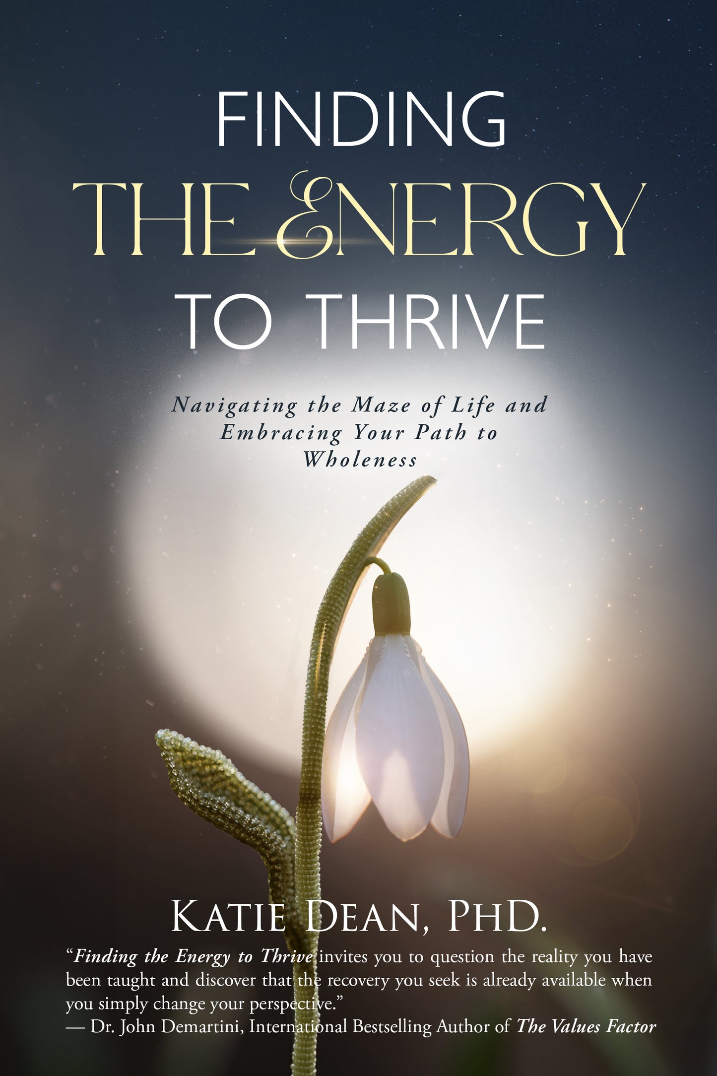 Finding the Energy to Thrive Book