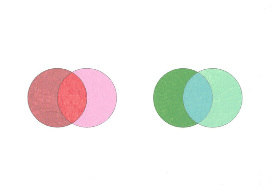 The vesica piscis is a powerful sacred geometry image that we can use to understand and resolve inner conflict