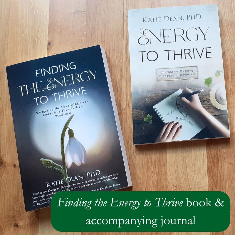 Finding the Energy to Thrive Book and Accompanying Journal